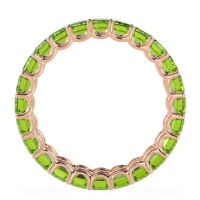 Eternity Emerald Cut U Prong Caila Band