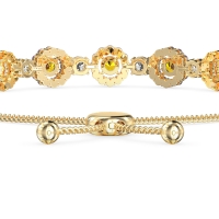 Bolo Gemstone Circle Link Bracelet