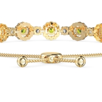 Bolo Gemstone Circle Link Bracelet