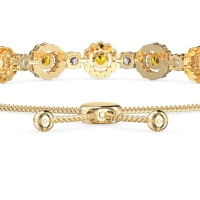 Bolo Gemstone Circle Link Bracelet