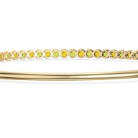 Four Prong Bezel Bangle