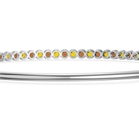 Four Prong Bezel Bangle