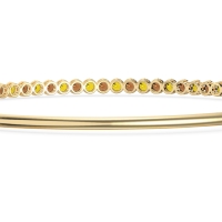 Four Prong Bezel Bangle