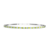 Four Prong Bezel Bangle