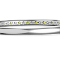 Channel Set Round Cut Bangle