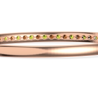 Channel Set Round Cut Bangle