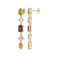 Multi-Shape Dangling Earrings