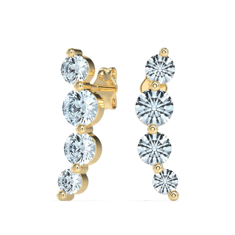 Graduated Ear Crawler Earrings