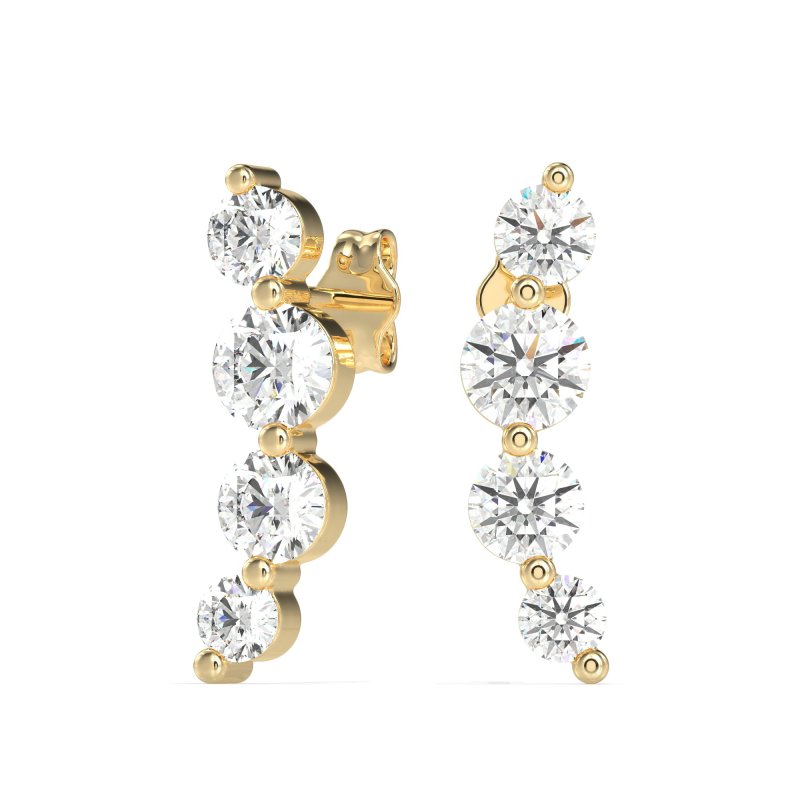 Graduated Ear Crawler Earrings