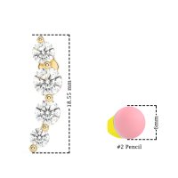 Graduated Ear Crawler Earrings