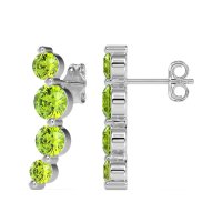 Graduated Ear Crawler Earrings