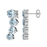 Ear Crawler Graduated Earrings