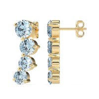 Ear Crawler Graduated Earrings