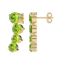 Ear Crawler Graduated Earrings