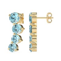 Ear Crawler Graduated Earrings