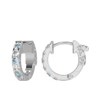 Classic Huggie Earrings
