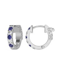 Classic Huggie Earrings