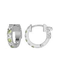 Classic Huggie Earrings