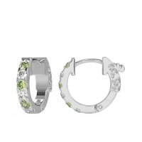 Classic Huggie Earrings