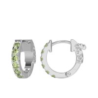 Classic Huggie Earrings