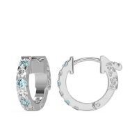 Classic Huggie Earrings