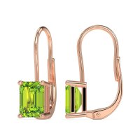 Shepard Hook Emerald Cut Stud Earrings