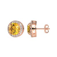 Classic Halo Stud Earrings