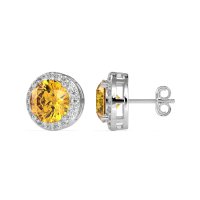Classic Halo Stud Earrings