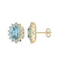Princess Diana Oval Halo Earrings