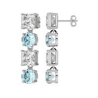 Princess & Round Dangle Earrings