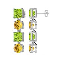 Princess & Round Dangle Earrings