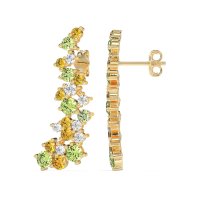 Shimmering Waterfall Cluster Earrings