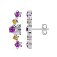 Ear Climber Stud Earrings