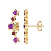Ear Climber Stud Earrings