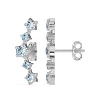 Ear Climber Stud Earrings
