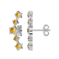 Ear Climber Stud Earrings
