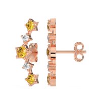 Ear Climber Stud Earrings