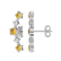 Ear Climber Stud Earrings