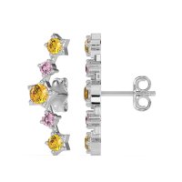 Ear Climber Stud Earrings