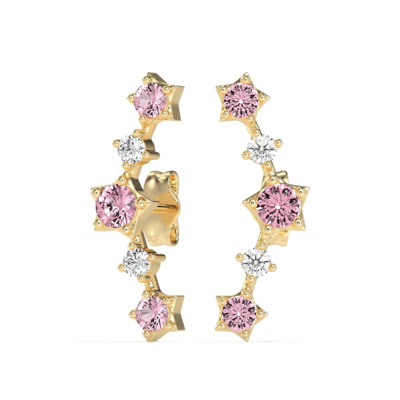 Ear Climber Stud Earrings