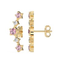 Ear Climber Stud Earrings