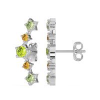 Ear Climber Stud Earrings