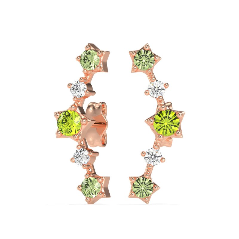 Ear Climber Stud Earrings