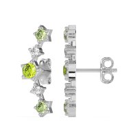 Ear Climber Stud Earrings