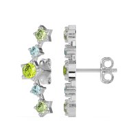 Ear Climber Stud Earrings