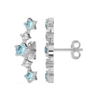 Ear Climber Stud Earrings