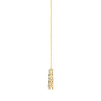 Graduated U-Shape Necklace