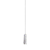 Graduated U-Shape Necklace