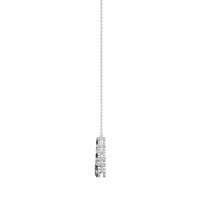 Graduated U-Shape Necklace